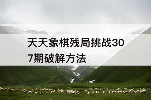 天天象棋残局挑战307期破解方法
