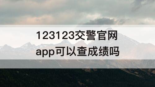 123123交警官网app可以查成绩吗