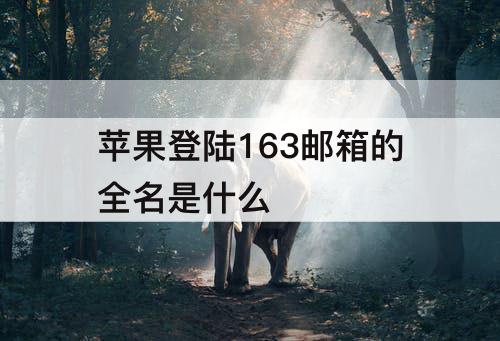 苹果登陆163邮箱的全名是什么