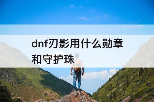 dnf刃影用什么勋章和守护珠