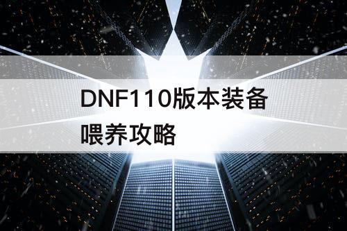 DNF110版本装备喂养攻略