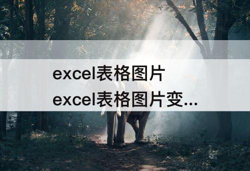 excel表格图片 excel表格图片变成代码
