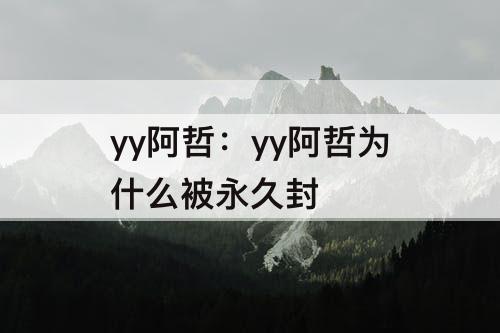 yy阿哲：yy阿哲为什么被永久封