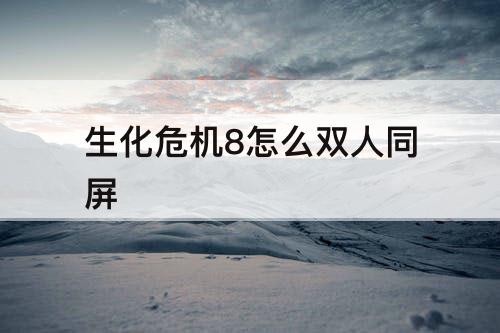 生化危机8怎么双人同屏