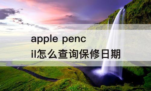 apple pencil怎么查询保修日期