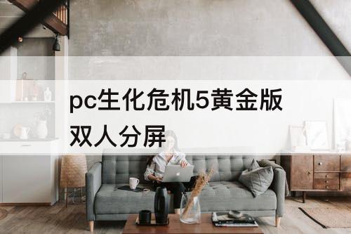 pc生化危机5黄金版双人分屏