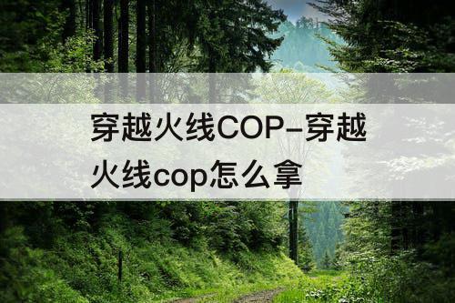 穿越火线COP-穿越火线cop怎么拿