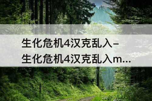 生化危机4汉克乱入-生化危机4汉克乱入mod下载