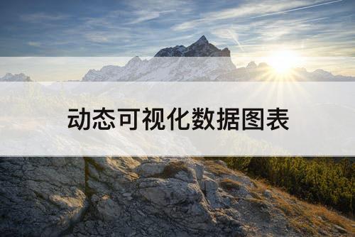 动态可视化数据图表
