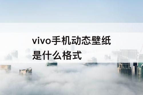 vivo手机动态壁纸是什么格式
