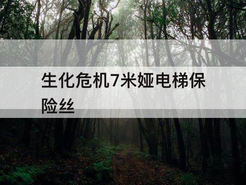 生化危机7米娅电梯保险丝