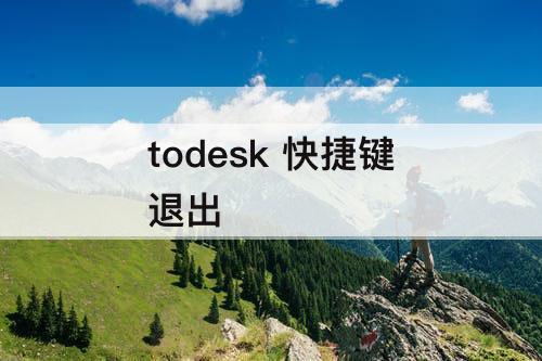 todesk 快捷键退出