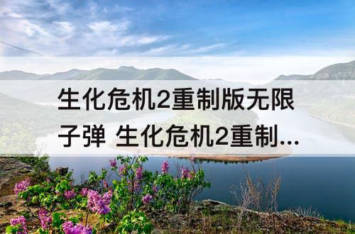 生化危机2重制版无限子弹 生化危机2重制版无限子弹武器