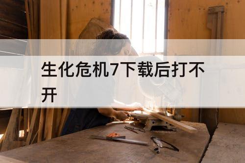 生化危机7下载后打不开