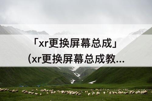 「xr更换屏幕总成」(xr更换屏幕总成教程)