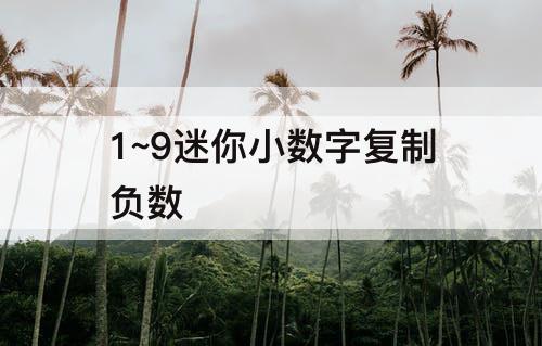 1~9迷你小数字复制负数