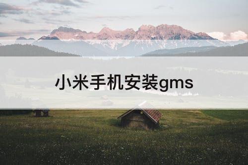 小米手机安装gms