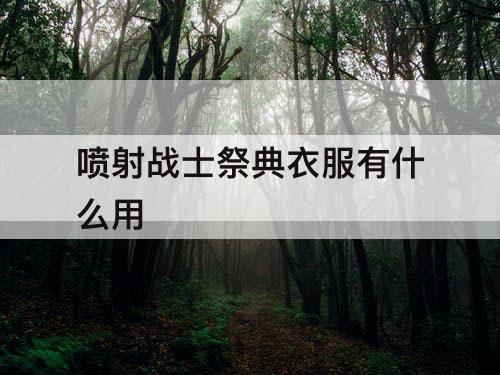 喷射战士祭典衣服有什么用