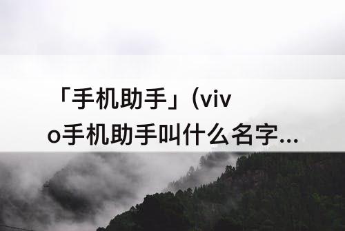 「手机助手」(vivo手机助手叫什么名字如何唤醒)