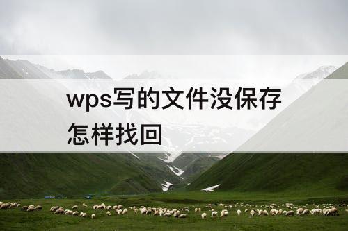 wps写的文件没保存怎样找回