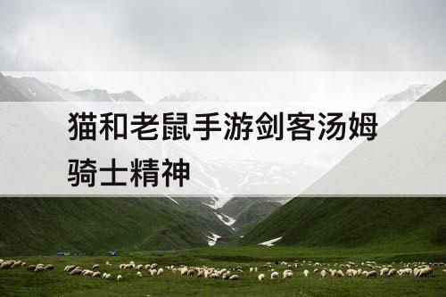 猫和老鼠手游剑客汤姆骑士精神