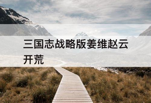 三国志战略版姜维赵云开荒
