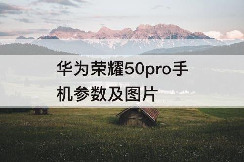 华为荣耀50pro手机参数及图片