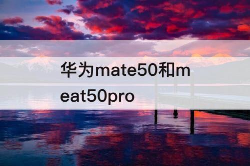 华为mate50和meat50pro