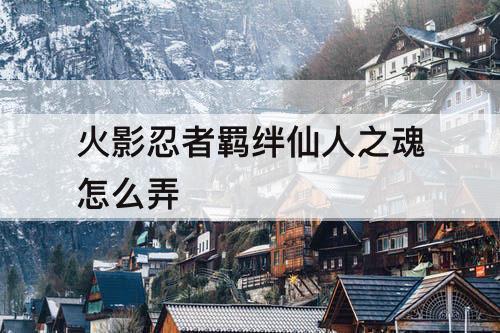 火影忍者羁绊仙人之魂怎么弄