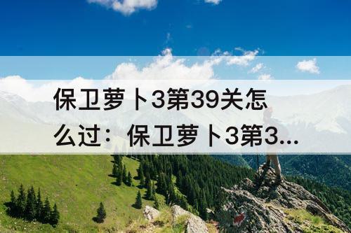 保卫萝卜3第39关怎么过：保卫萝卜3第39关怎么过?