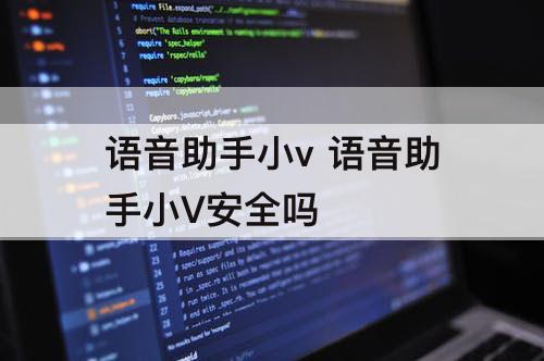 语音助手小v 语音助手小V安全吗
