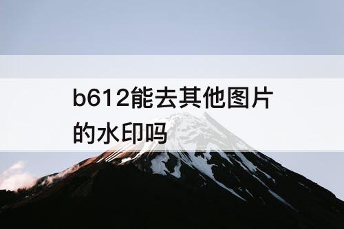 b612能去其他图片的水印吗
