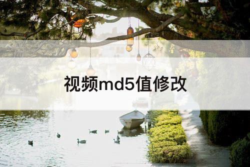 视频md5值修改