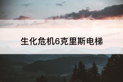 生化危机6克里斯电梯