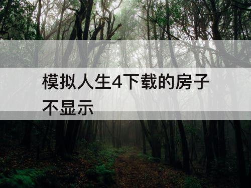 模拟人生4下载的房子不显示