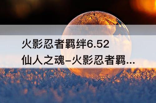 火影忍者羁绊6.52仙人之魂-火影忍者羁绊6.52仙人之魂和什么合