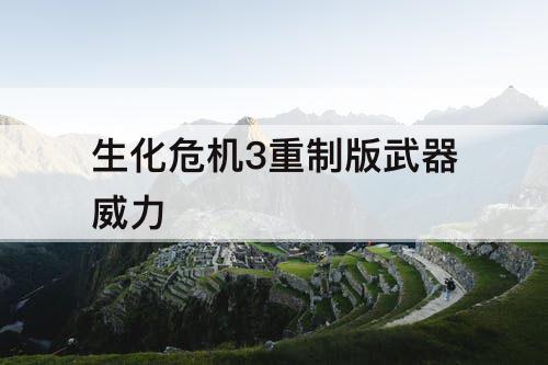 生化危机3重制版武器威力