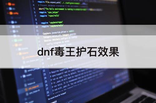 dnf毒王护石效果