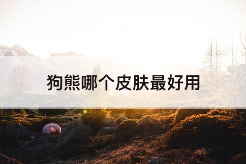狗熊哪个皮肤最好用