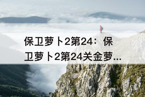 保卫萝卜2第24：保卫萝卜2第24关金萝卜攻略