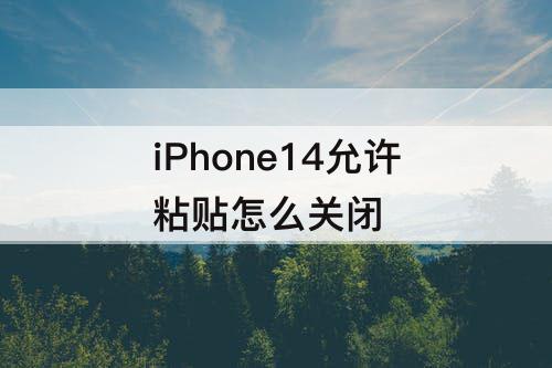 iPhone14允许粘贴怎么关闭