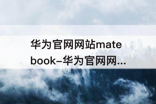 华为官网网站matebook-华为官网网站matebook14s