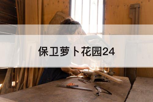保卫萝卜花园24