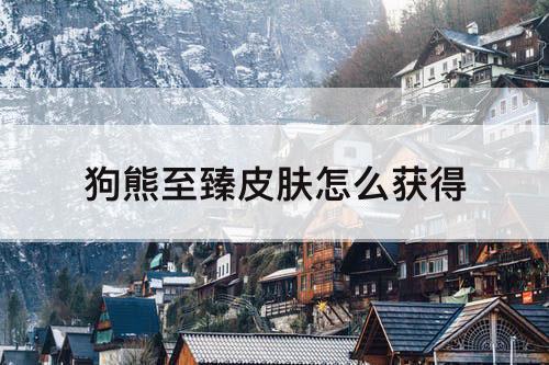 狗熊至臻皮肤怎么获得