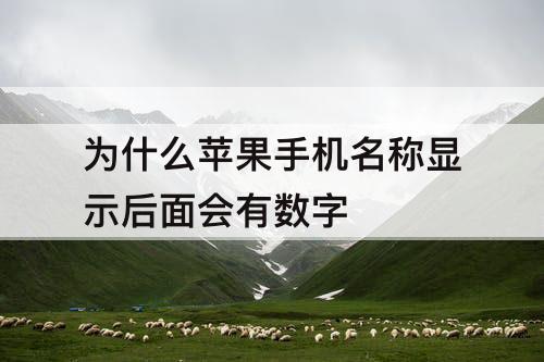 为什么苹果手机名称显示后面会有数字