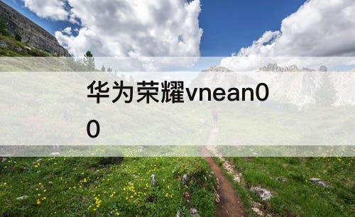 华为荣耀vnean00