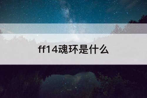 ff14魂环是什么
