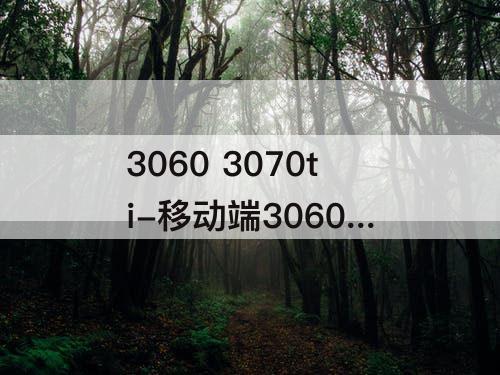 3060 3070ti-移动端3060 3070ti