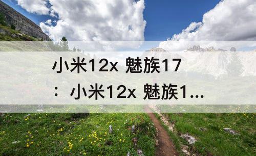小米12x 魅族17：小米12x 魅族17pro