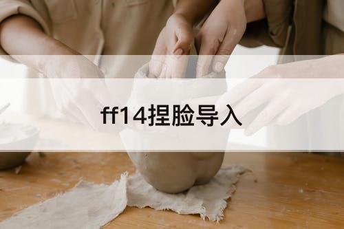 ff14捏脸导入